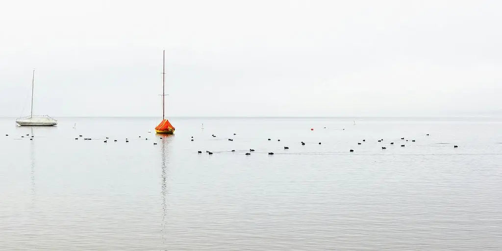 Transform Your Space with a Stylish White Basin Bathroom: Top Trends and Tips - BathroomLux