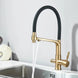 3 - Way Brushed Gold Kitchen Faucet with Pull - Out Spray – Water Purifier Function - 3 Ways Kitchen Pull OutBathroomLux