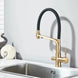 3 - Way Brushed Gold Kitchen Faucet with Pull - Out Spray – Water Purifier Function - 3 Ways Kitchen Pull OutBathroomLux