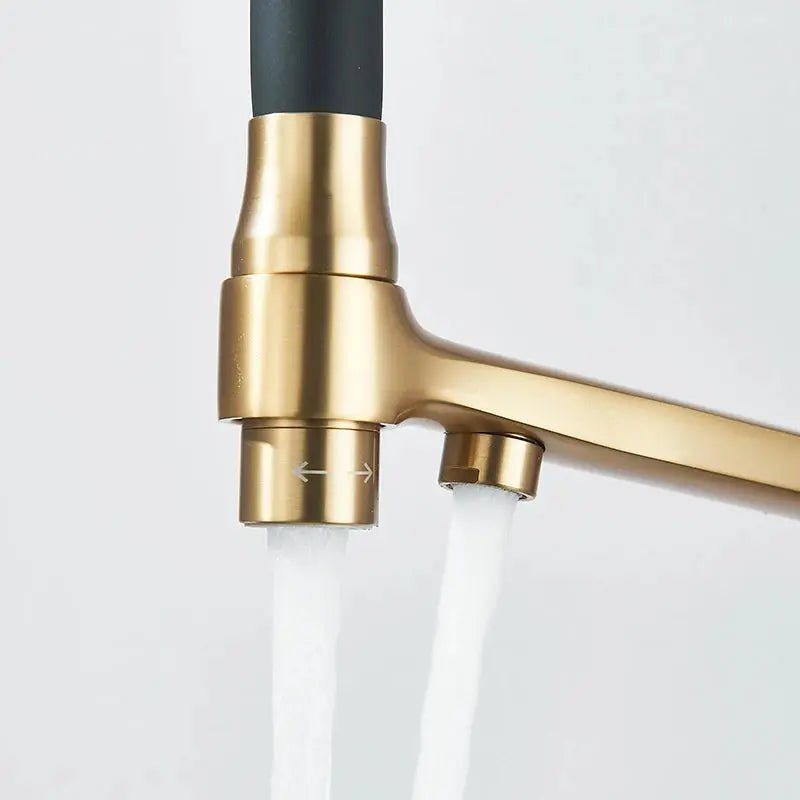 3 - Way Brushed Gold Kitchen Faucet with Pull - Out Spray – Water Purifier Function - 3 Ways Kitchen Pull OutBathroomLux