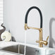 3 - Way Brushed Gold Kitchen Faucet with Pull - Out Spray – Water Purifier Function - 3 Ways Kitchen Pull OutBathroomLux