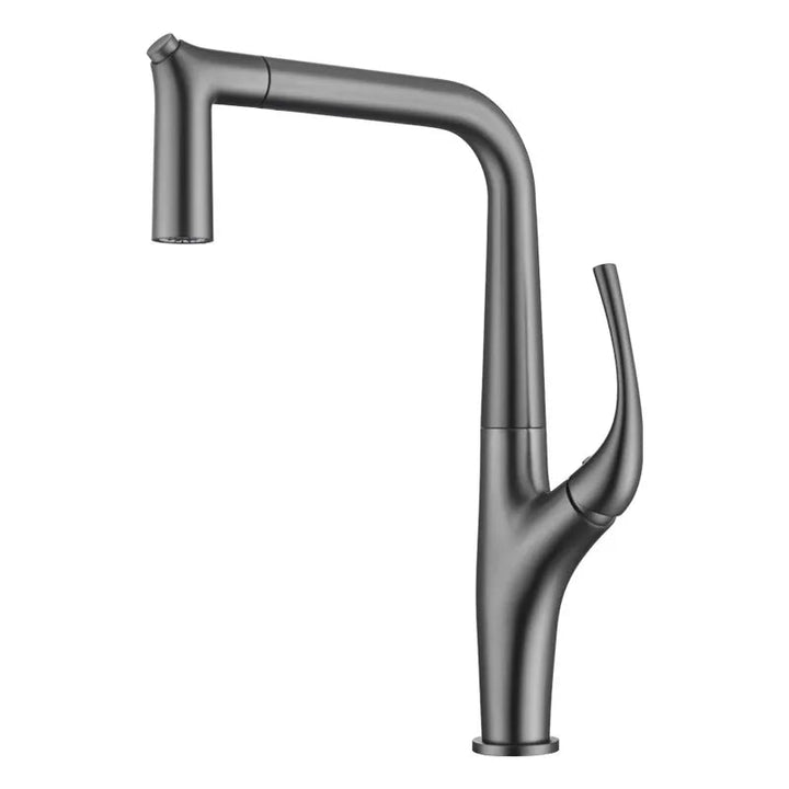 Aqua Flex Kitchen Faucet In Gold - Pull - Out Sprayer with Water Filter - Kitchen faucetBathroomLux