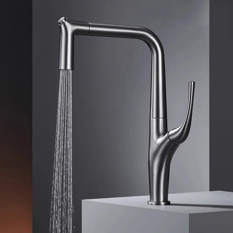 Aqua Flex Kitchen Faucet In Gold - Pull - Out Sprayer with Water Filter - Kitchen faucetBathroomLux