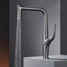 Aqua Flex Kitchen Faucet In Gold - Pull - Out Sprayer with Water Filter - Kitchen faucetBathroomLux