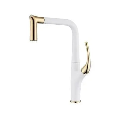 Aqua Flex Kitchen Faucet In Gold - Pull - Out Sprayer with Water Filter - Kitchen faucetBathroomLux