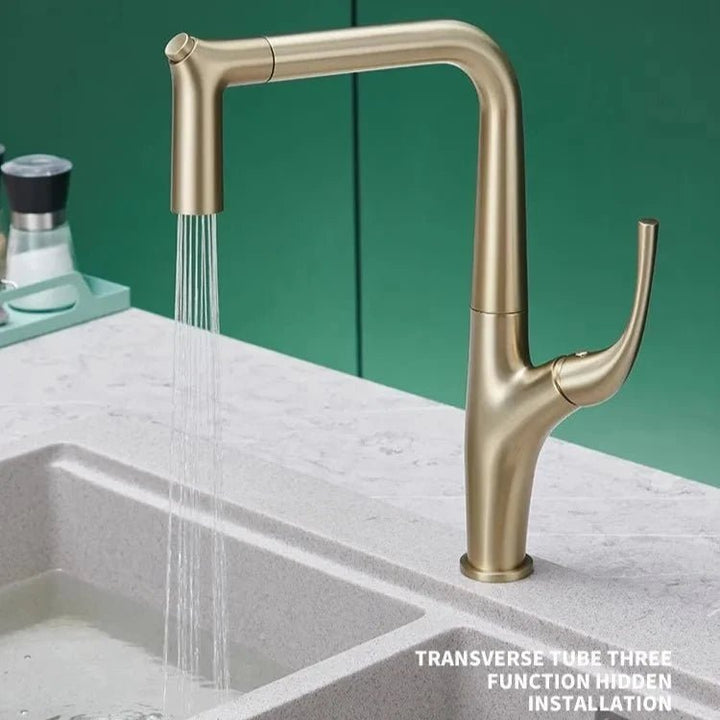 Aqua Flex Kitchen Faucet In Gold - Pull - Out Sprayer with Water Filter - Kitchen faucetBathroomLux