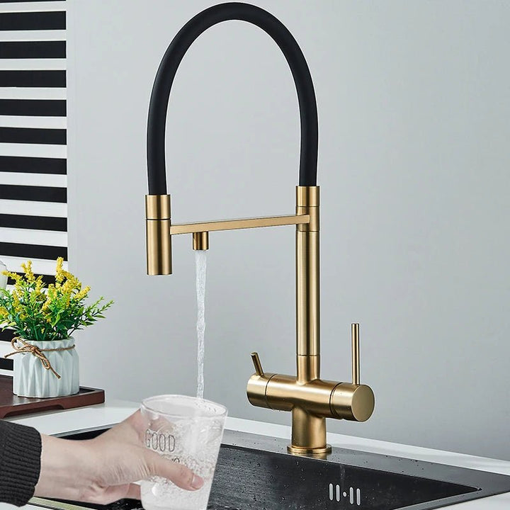 Aqua Viva Kitchen Faucet - Dual Spout Water Filter - Purification System - Kitcen faucetBathroomLux