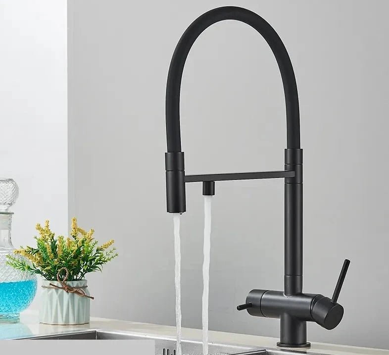 Aqua Viva Kitchen Faucet - Dual Spout Water Filter - Purification System - Kitcen faucetBathroomLux