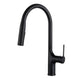 Brass Deck - Mounted Kitchen Faucet Pull - Out Single Handle and Dual Function - Kitchen Faucet Pull - OutBathroomLux