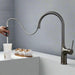 Brass Deck - Mounted Kitchen Faucet Pull - Out Single Handle and Dual Function - Kitchen Faucet Pull - OutBathroomLux
