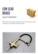 Brushed Gold 3 - Way Kitchen Faucet with Pull - Out Spray Filtered Water Mixer Tap - 3 Ways Kitchen Pull OutBathroomLux
