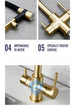 Brushed Gold 3 - Way Kitchen Faucet with Pull - Out Spray Filtered Water Mixer Tap - 3 Ways Kitchen Pull OutBathroomLux