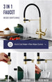 Brushed Gold 3 - Way Kitchen Faucet with Pull - Out Spray Filtered Water Mixer Tap - 3 Ways Kitchen Pull OutBathroomLux
