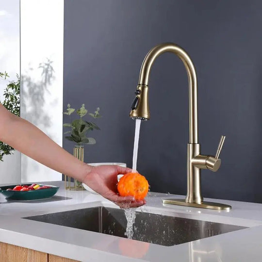 Brushed Gold Kitchen Faucet Pull - Out Single Handle Tap - brushed gold kitchen faucet.BathroomLux