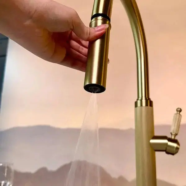 Contemporary Brushed Gold Kitchen Mixer Tap – Single Lever Pull - Out Sprayer - Purification Kitchen Faucets Black Pull Down 3 Ways MixerBathroomLux