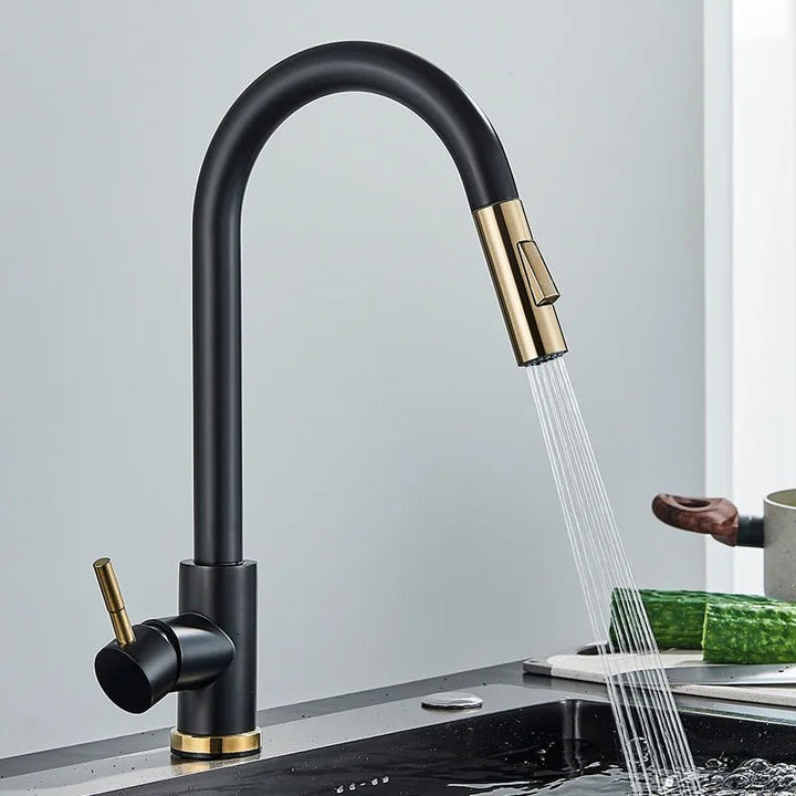 Delta Kitchen Faucet Pull Out with 1 - Handle - FaucetBathroomLux