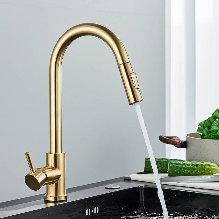 Delta Kitchen Faucet Pull Out with 1 - Handle - FaucetBathroomLux