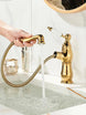 Gold Pull - Out Bathroom faucet Hot & Cold Mixer Tap Small - Pull - Out Bathroom Basin Mixer TapBathroomLux