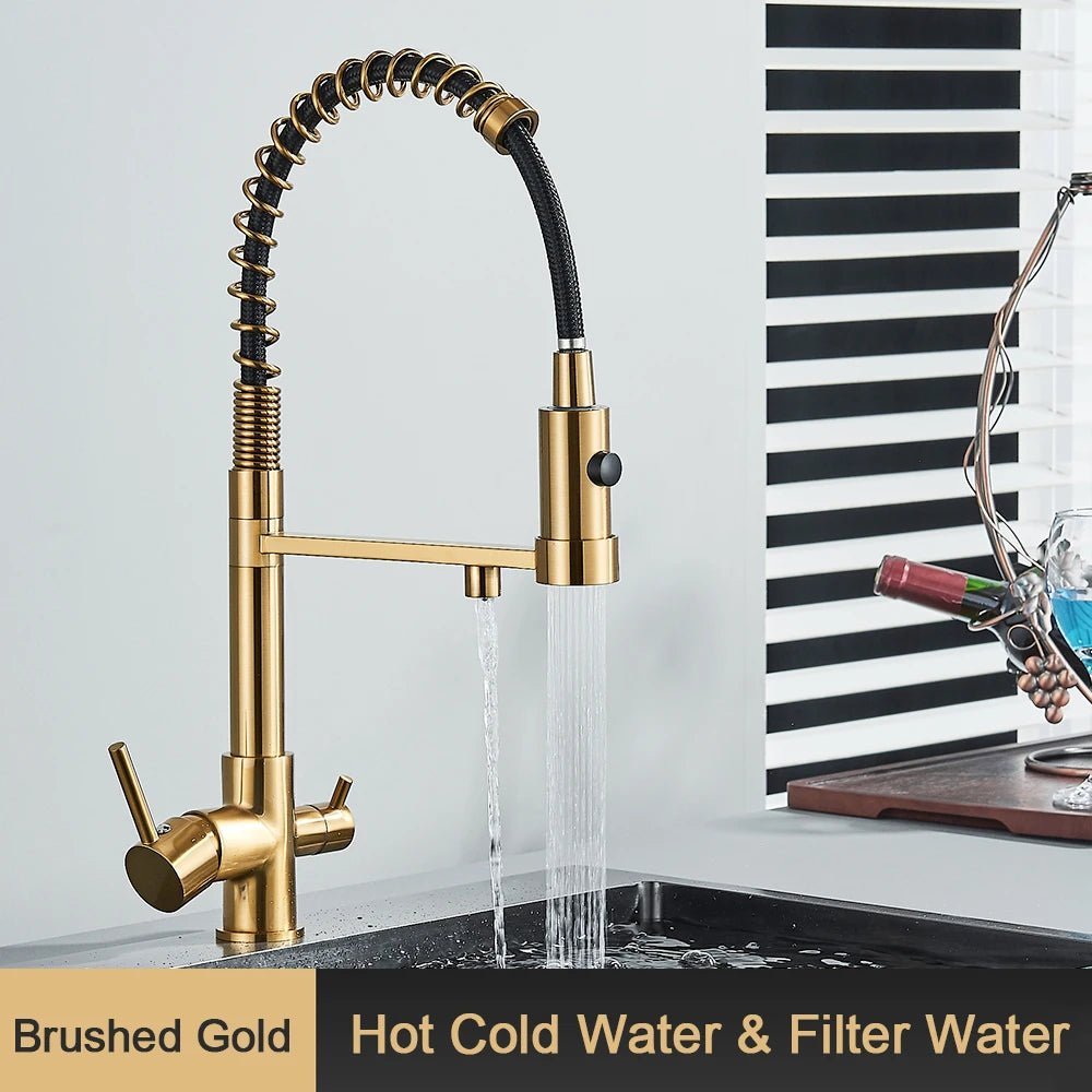 Harmony Pull Down 3 - Way Filter Kitchen Faucet In Gold - kitchenBathroomLux