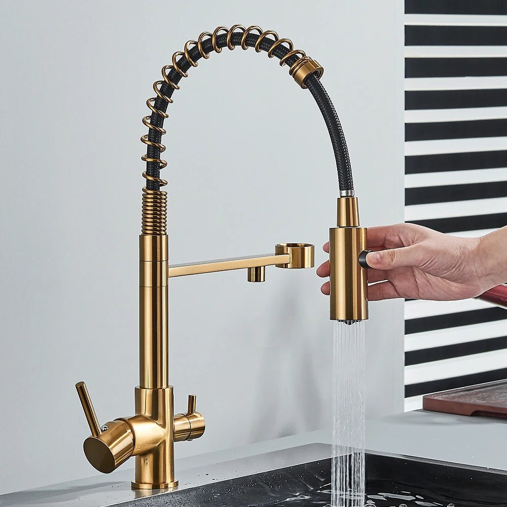 Harmony Pull Down 3 - Way Filter Kitchen Faucet In Gold - kitchenBathroomLux