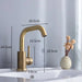 Lustra Bathroom Faucet Brushed Gold - Single Handle - Bathroom FaucetBathroomLux