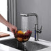 Luxury Gunmetal Grey Waterfall Pull - Out Digital Kitchen Faucet with Water Purifier - Waterfall Pull - Out Digital Kitchen Faucet with Water PurifierBathroomLux