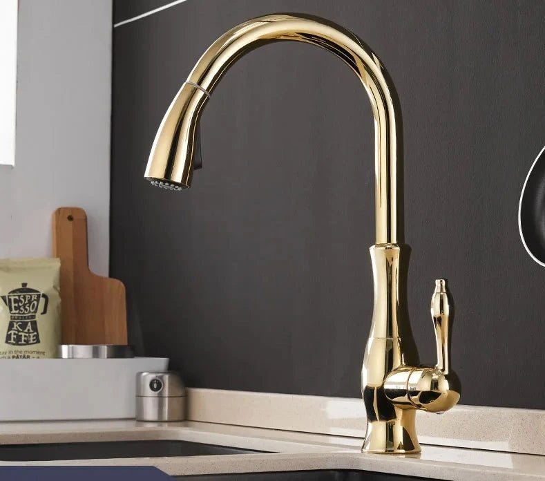 Modern Kitchen Faucets 1 - Handle and Pull Out - BathroomLux