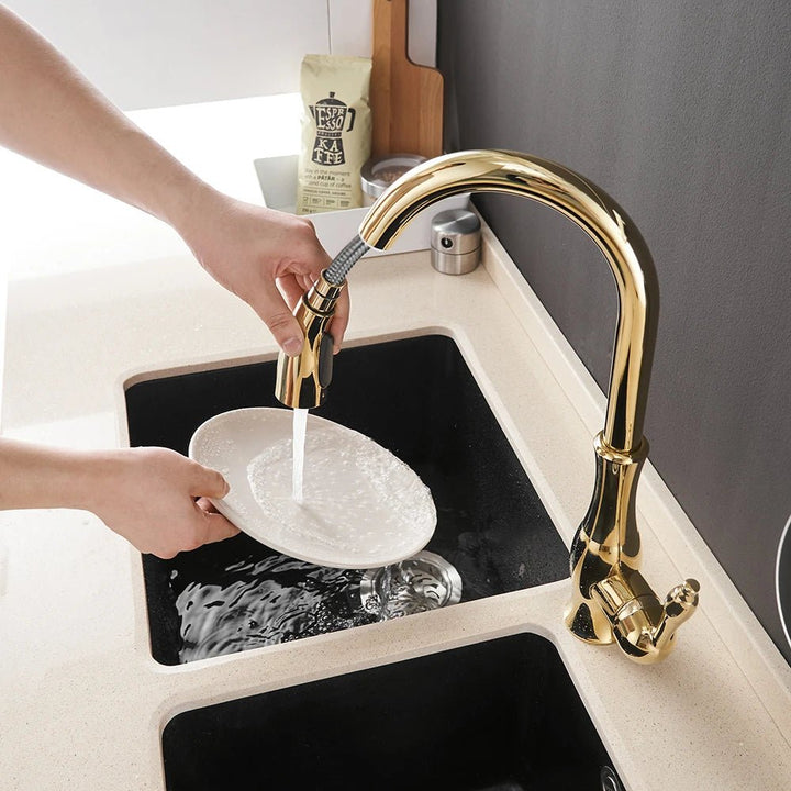 Modern Kitchen Faucets 1 - Handle and Pull Out - BathroomLux