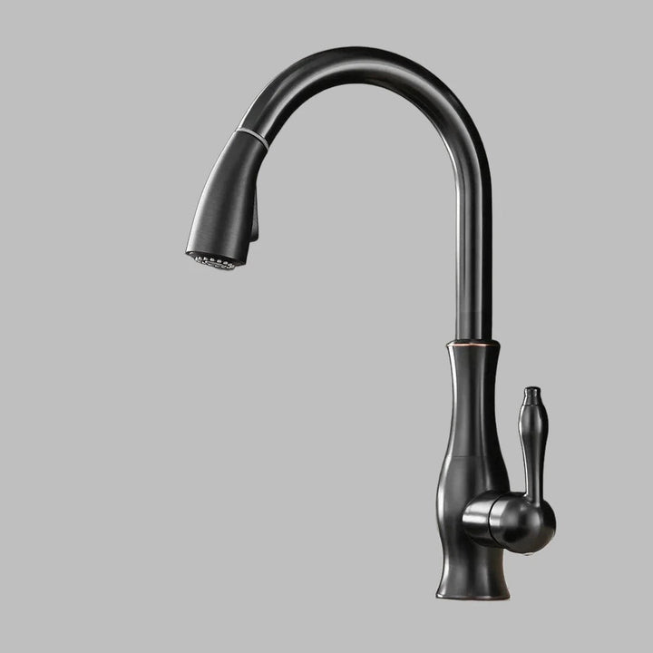 Modern Kitchen Faucets 1 - Handle and Pull Out - BathroomLux