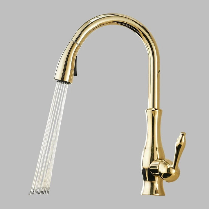 Modern Kitchen Faucets 1 - Handle and Pull Out - BathroomLux