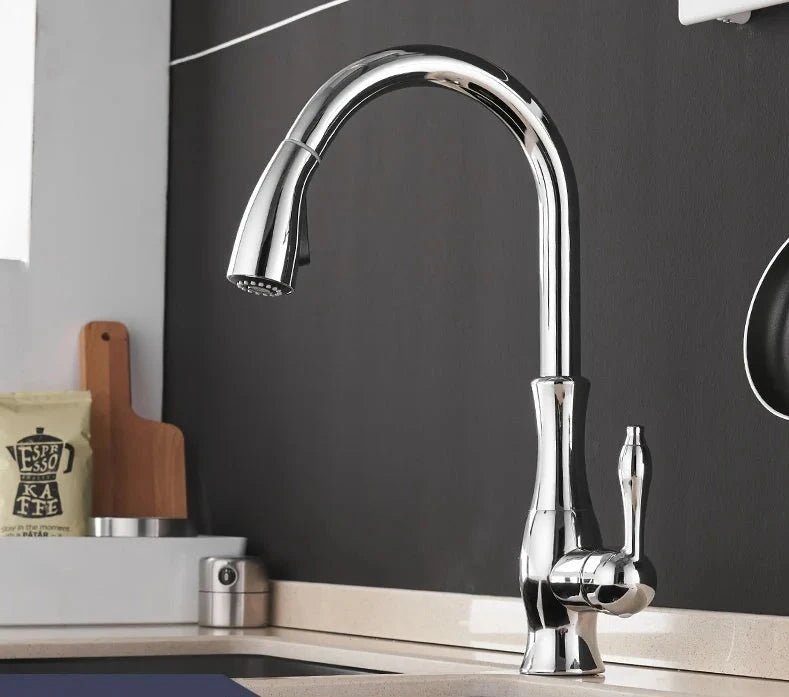 Modern Kitchen Faucets 1 - Handle and Pull Out - BathroomLux