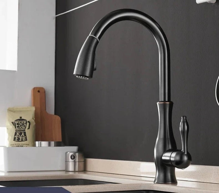 Modern Kitchen Faucets 1 - Handle and Pull Out - BathroomLux