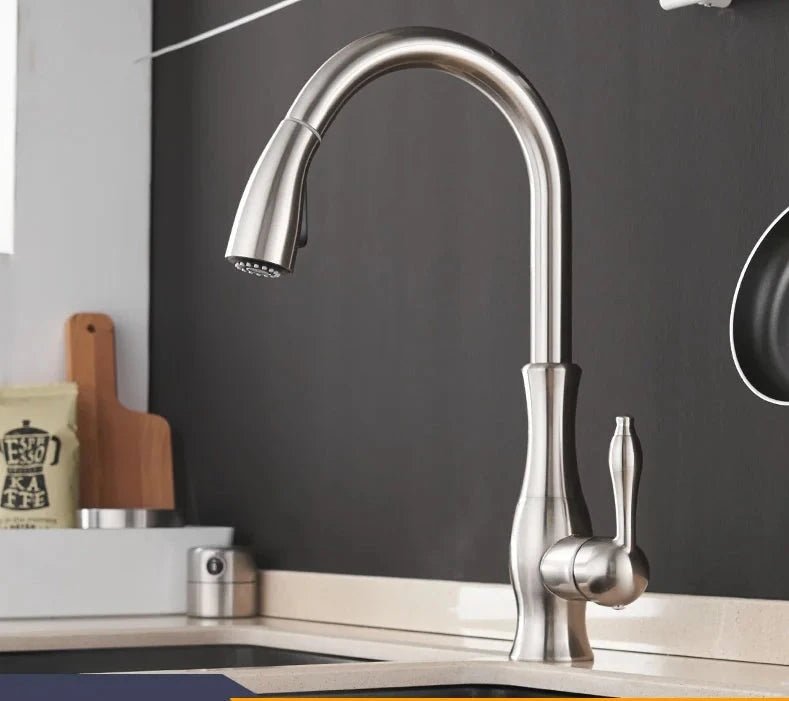 Modern Kitchen Faucets 1 - Handle and Pull Out - BathroomLux