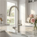Nickel Stainless Steel Pull - Out Kitchen Faucet with Cup Washer - Pull - Down Kitchen FaucetBathroomLux