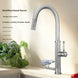 Nickel Stainless Steel Pull - Out Kitchen Faucet with Cup Washer - Pull - Down Kitchen FaucetBathroomLux