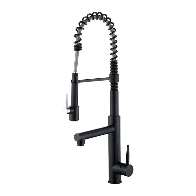 Pull - Down Kitchen Faucet with 2 - Function Sprayer – High Arc Spout Mixer Tap - Pull - Down Kitchen FaucetBathroomLux