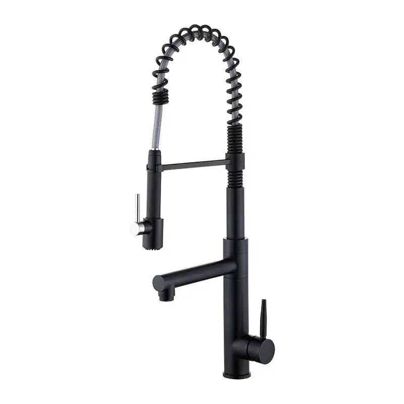 Pull - Down Kitchen Faucet with 2 - Function Sprayer – High Arc Spout Mixer Tap - Pull - Down Kitchen FaucetBathroomLux