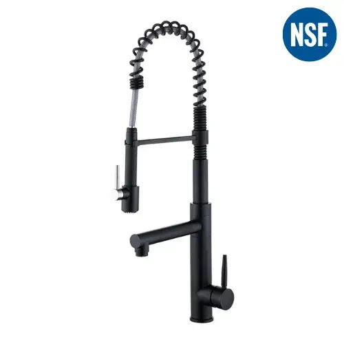 Pull - Down Kitchen Faucet with 2 - Function Sprayer – High Arc Spout Mixer Tap - Pull - Down Kitchen FaucetBathroomLux