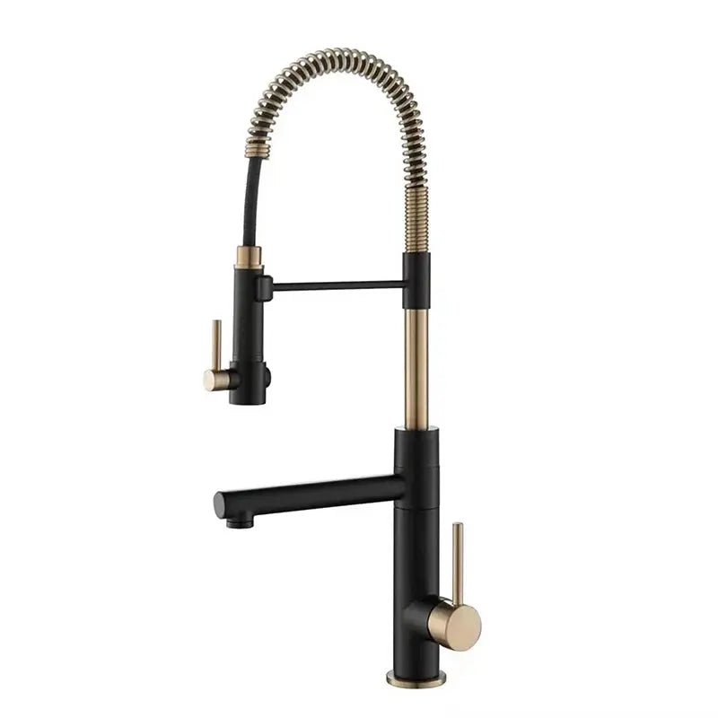 Pull - Down Kitchen Faucet with 2 - Function Sprayer – High Arc Spout Mixer Tap - Pull - Down Kitchen FaucetBathroomLux