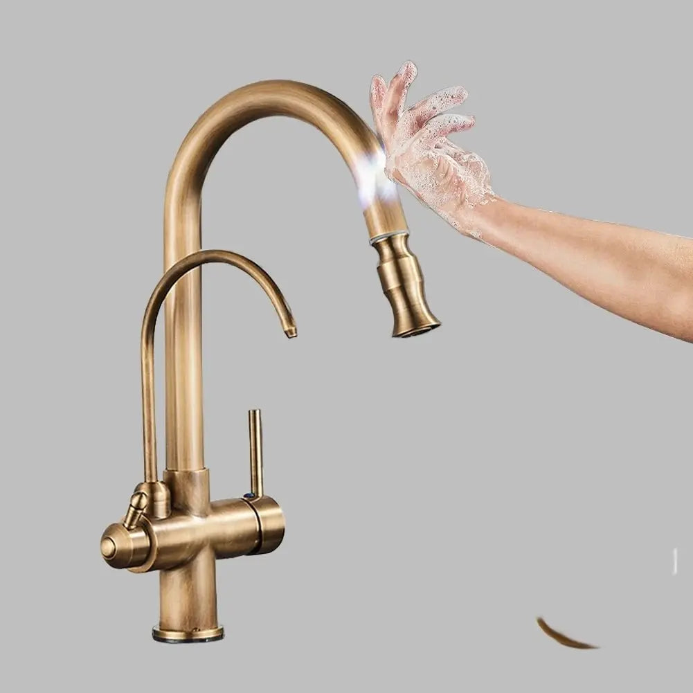 Rose Dual Handle Touch Sensor Filter Water Faucet - BathroomLux