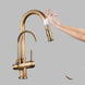 Rose Dual Handle Touch Sensor Filter Water Faucet - BathroomLux