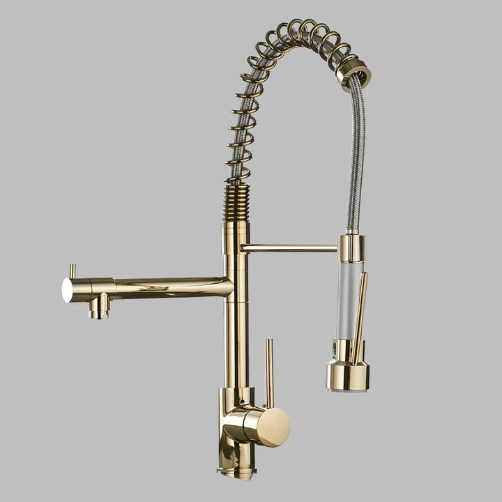 Torneira Para Single - Hole Kitchen Faucet with Pull - down spout - BathroomLux