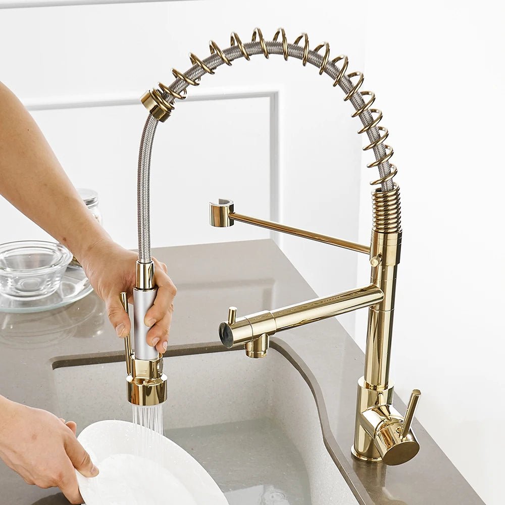 Torneira Para Single - Hole Kitchen Faucet with Pull - down spout - BathroomLux