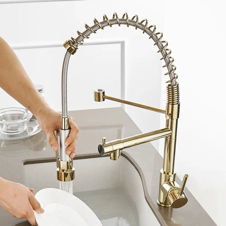 Torneira Para Single - Hole Kitchen Faucet with Pull - down spout - BathroomLux