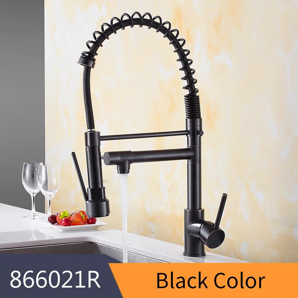 Torneira Para Single - Hole Kitchen Faucet with Pull - down spout - BathroomLux