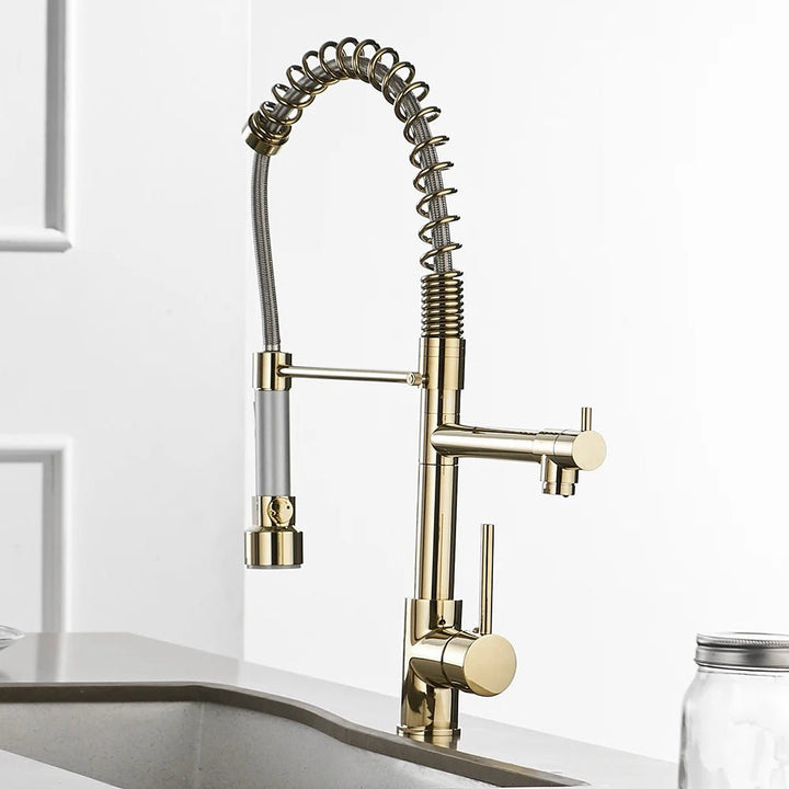 Torneira Para Single - Hole Kitchen Faucet with Pull - down spout - BathroomLux