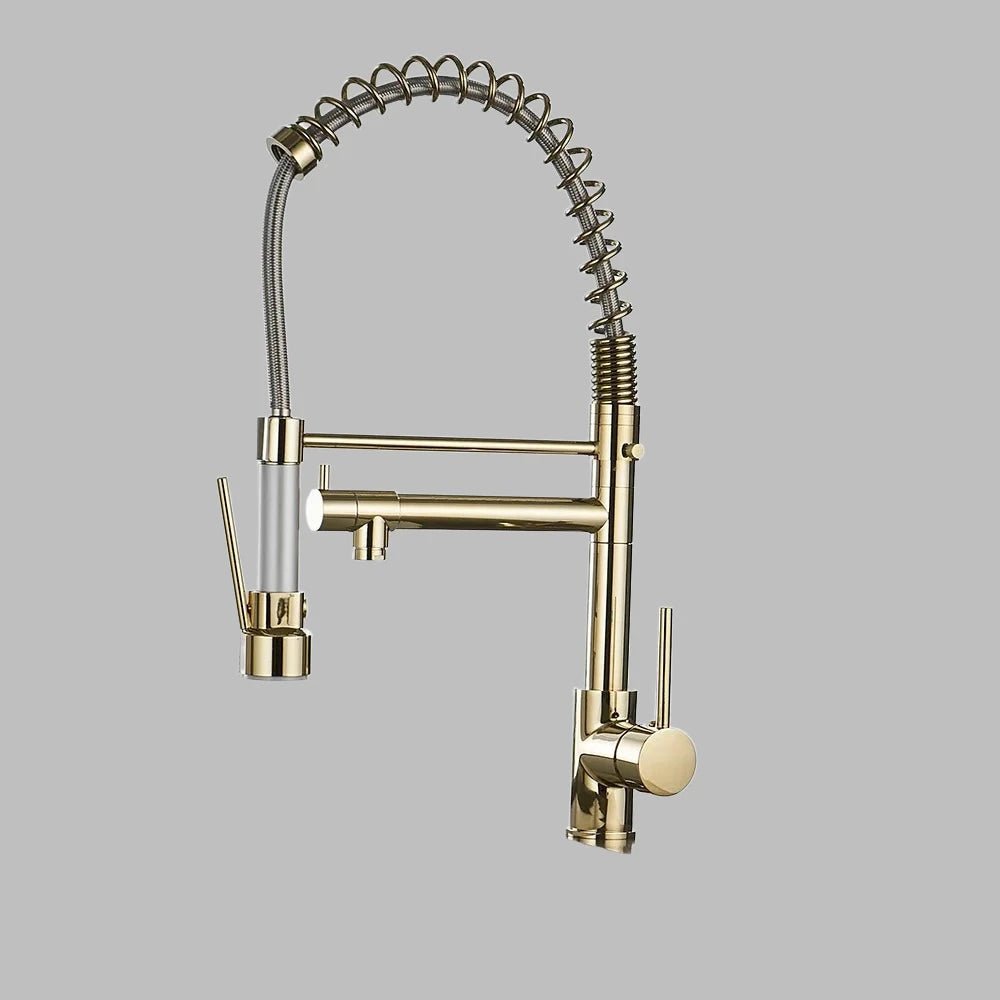 Torneira Para Single - Hole Kitchen Faucet with Pull - down spout - BathroomLux